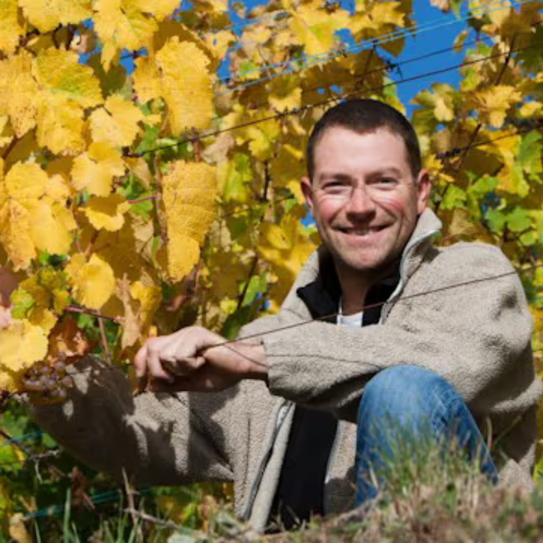 DOMAINE ALBERT BOXLER, Pinot Gris, Grand Cru Sommerberg Wibtal, 2017 - (WOTM)