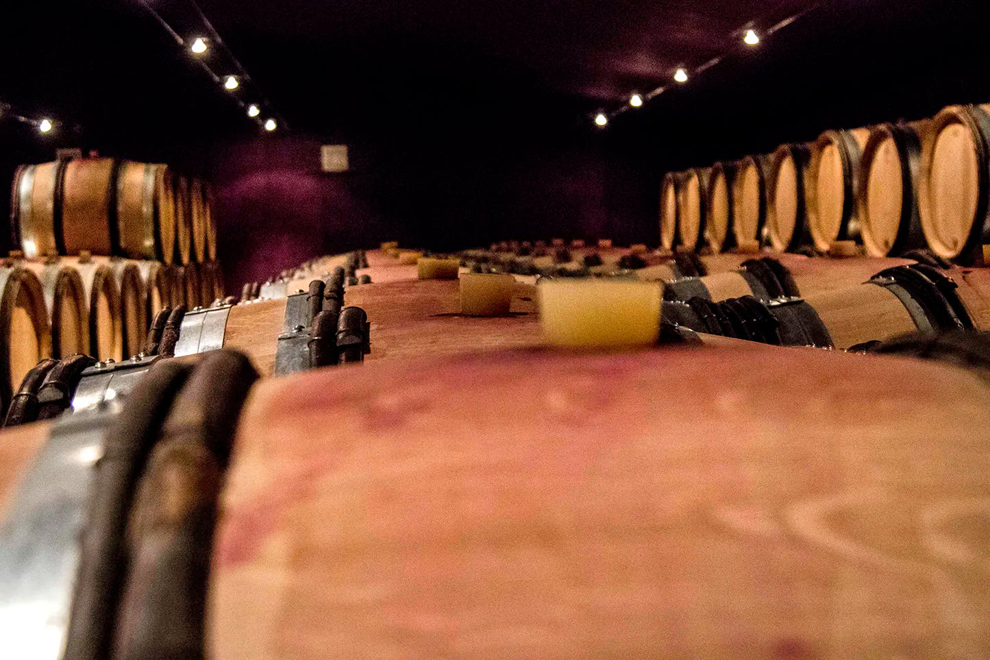 DOMAINE BACHELET-MONNOT, Maranges, Premier Cru Clos de la Boutiere, 2022 - (WOTM)