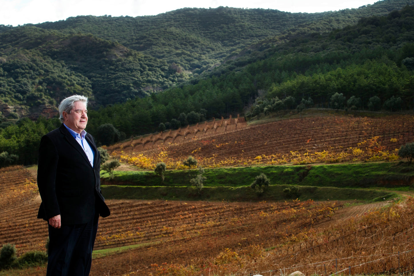 BODEGAS ONTANON, Antologia, Rioja Crianza, 2018 - (EQW)