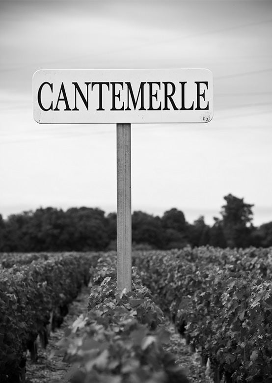 CHATEAU CANTEMERLE, Haut-Medoc, Bordeaux, 2017 - (EQW)