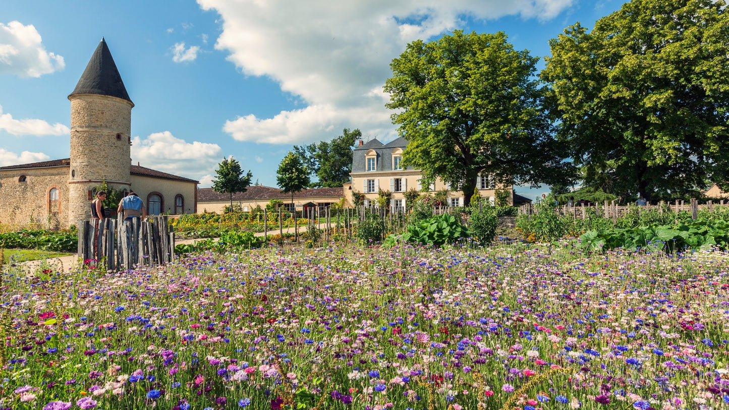 G CHATEAU GUIRAUD, Bordeaux Blanc, 2012 - (EQW)