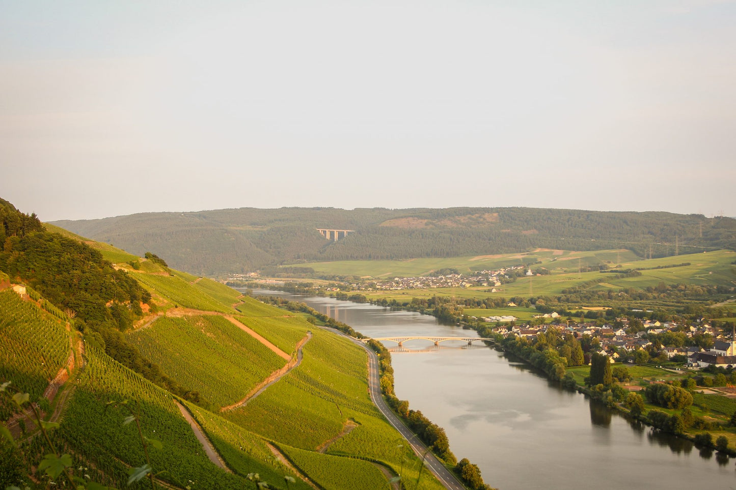 CARL LOEWEN, Riesling Kabinett, Herrenberg, Mosel, 2023 - (EQW)