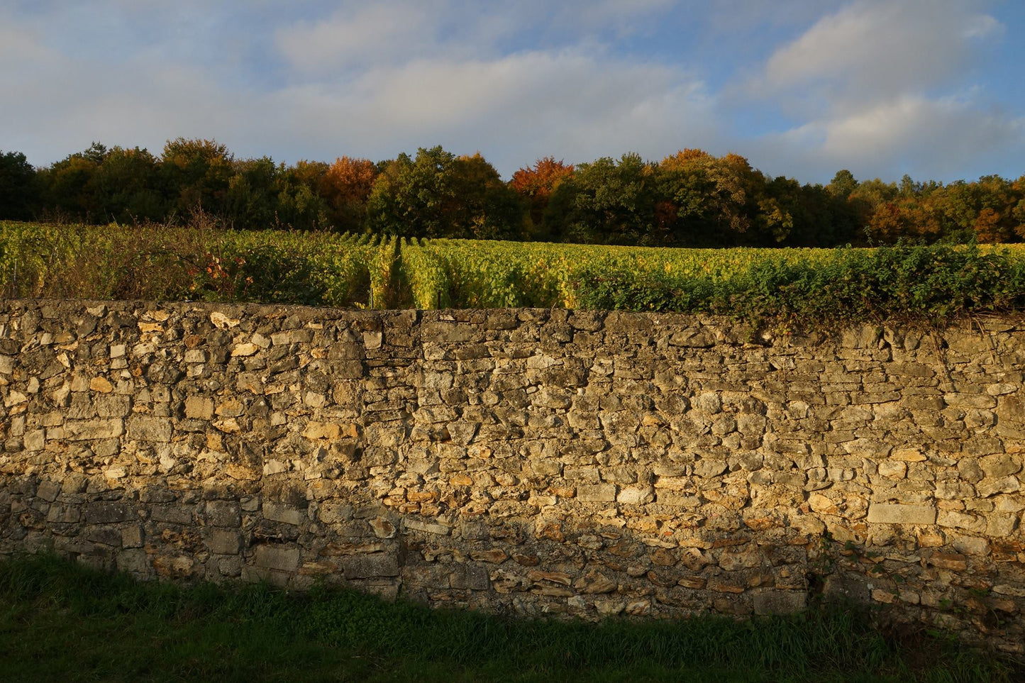 PASCAL DOQUET, Grand Cru, Diapason, Blanc de Blancs, Extra Brut, Champagne, NV - (WOTM)