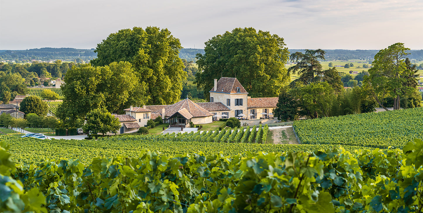LES TOURS DE BELCIER, Saint-Emilion Grand Cru, Bordeaux, 2016 - (EQW)