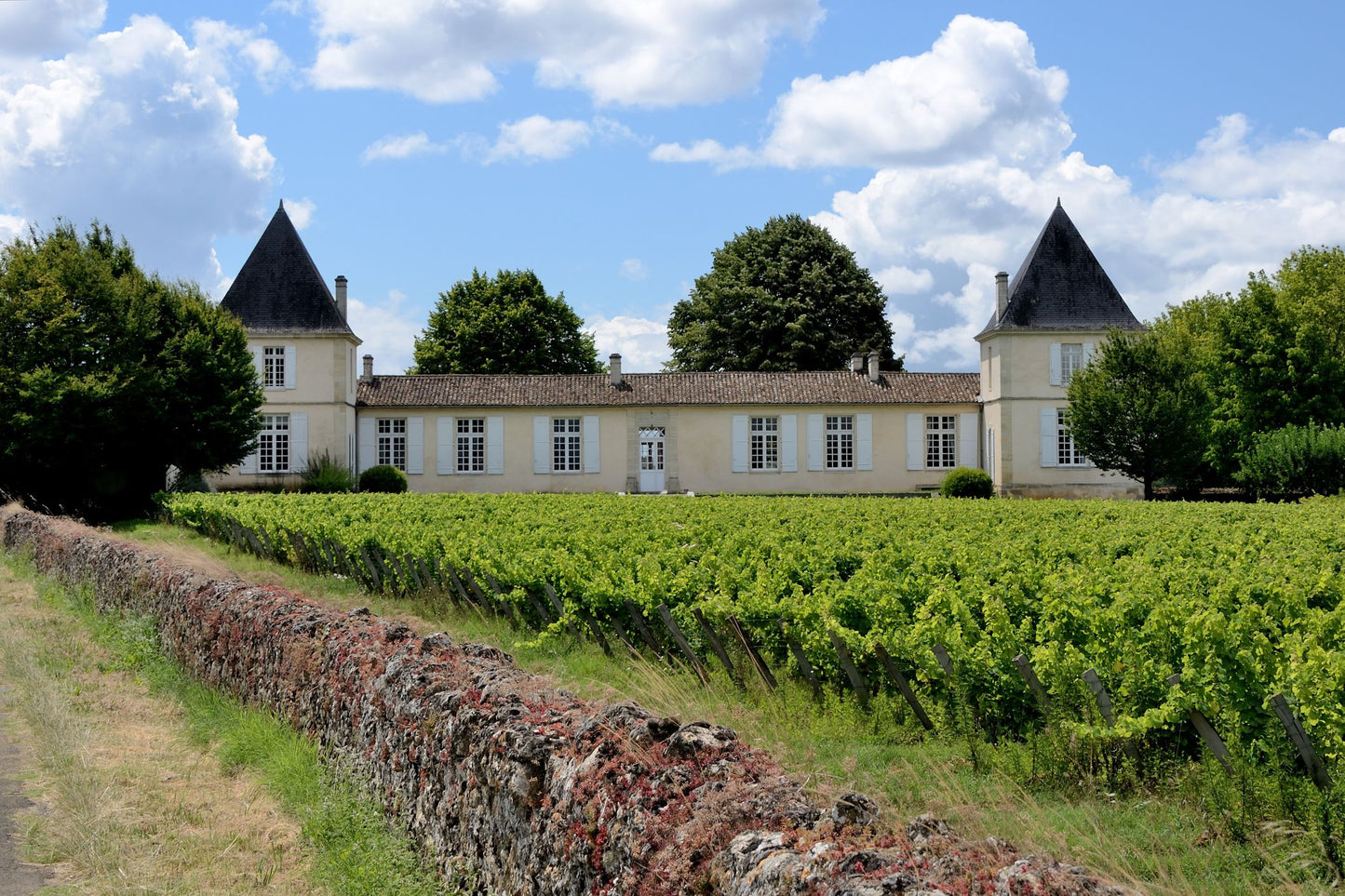 CHATEAU CLIMENS, Barsac, 2008, (Sweet Wine) - (WOTM)