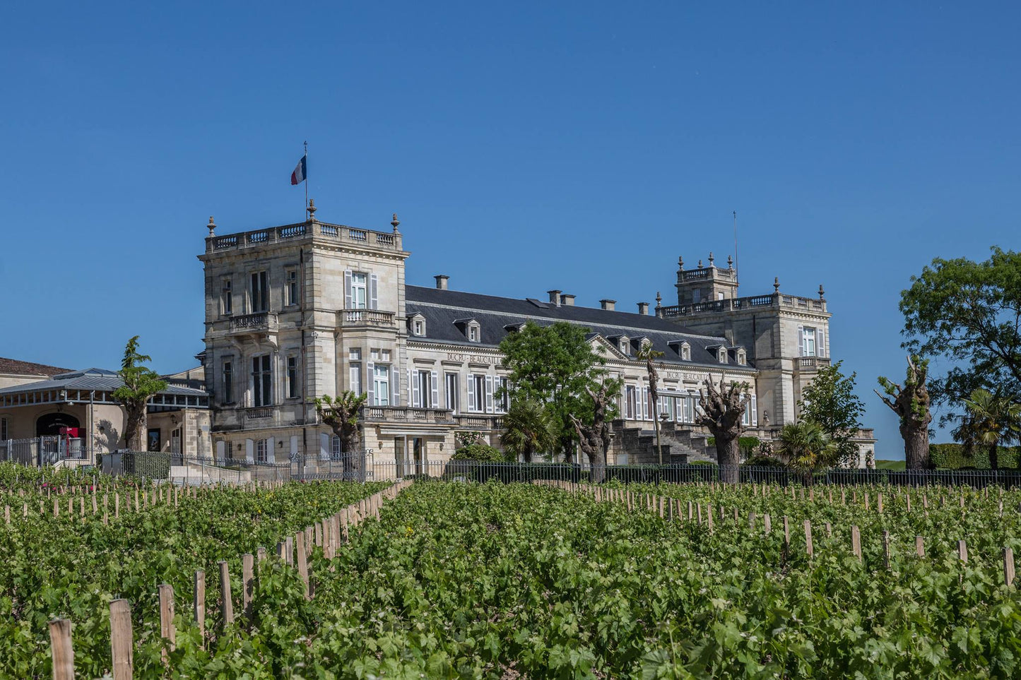 LE PETIT DUCRU, Saint-Julien, Bordeaux, 2019 - (EQW)