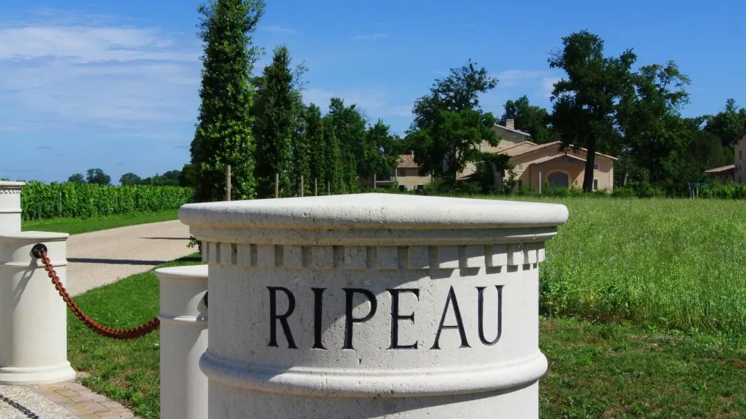 TOUR DE RIPEAU, Saint-Emilion Grand Cru, Bordeaux, 2015 - (EQW)
