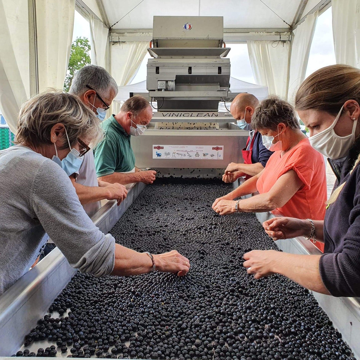 TOUR DE RIPEAU, Saint-Emilion Grand Cru, Bordeaux, 2015 - (EQW)