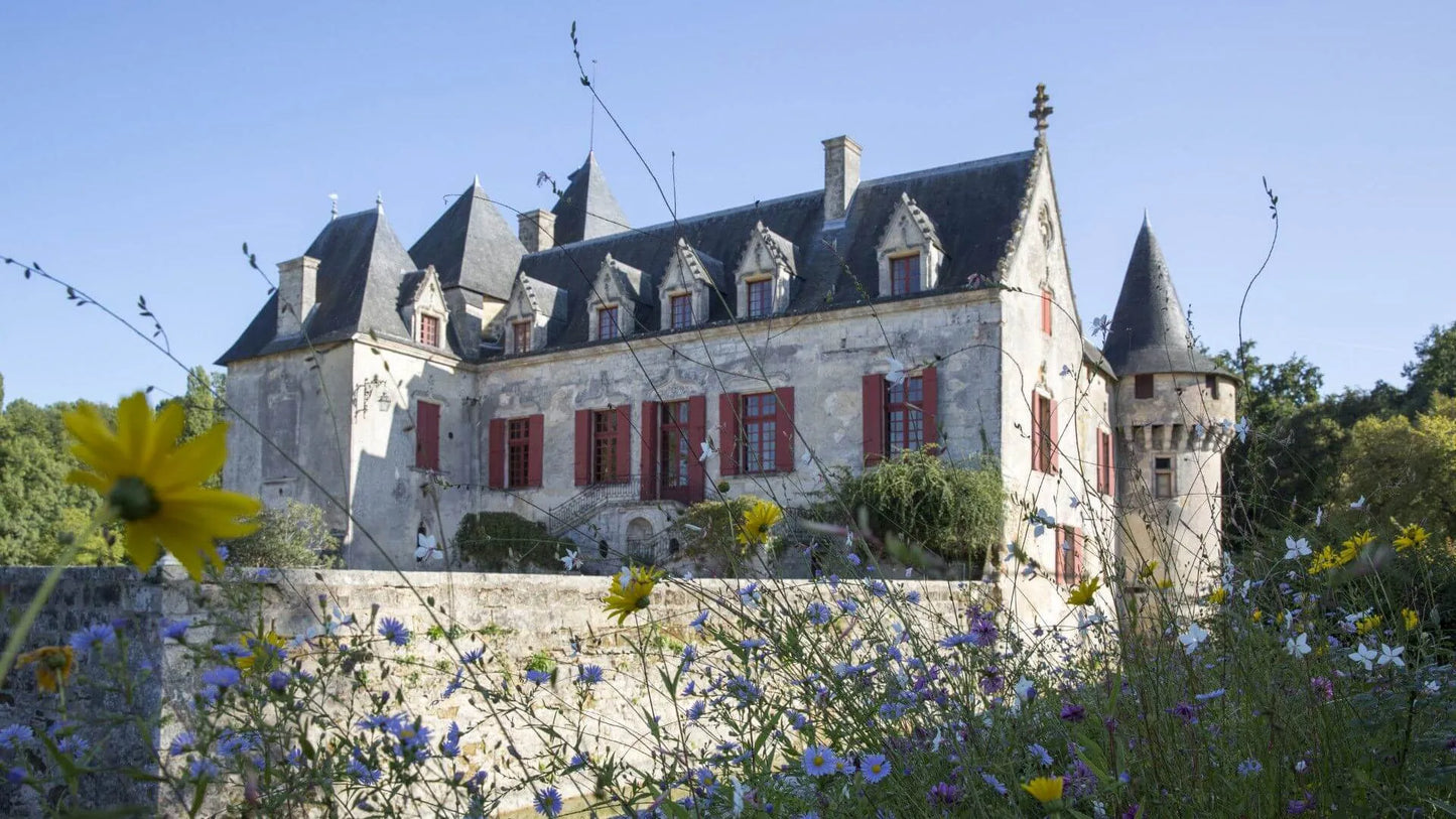 CHATEAU OLIVIER, Pessac-Leognan, Bordeaux, 2017 - (EQW)