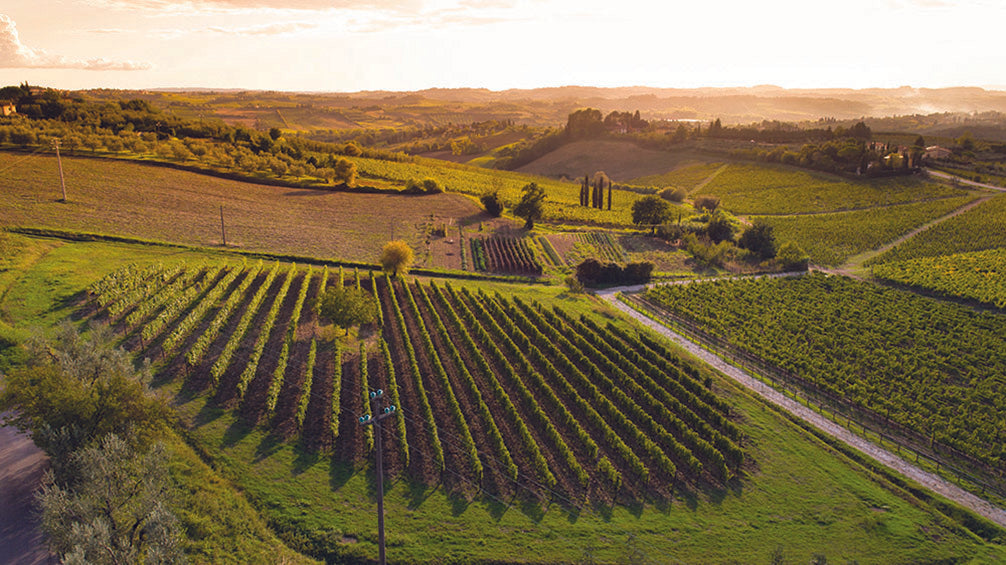 TENUTA LA GABBIOLA, Chianti Classico Riserva, 2019 - (EQW)