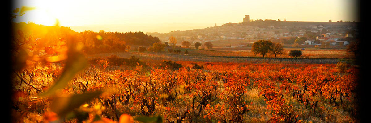 CLOS DU MONT OLIVET, Chateauneuf-du-Pape, 2021 - (WOTM)