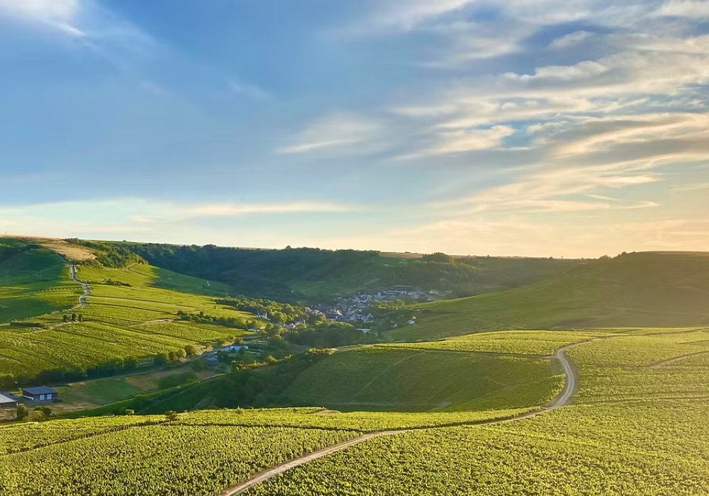 DOMAINE DELAPORTE, Sancerre "Silex", 2022 - (WOTM)