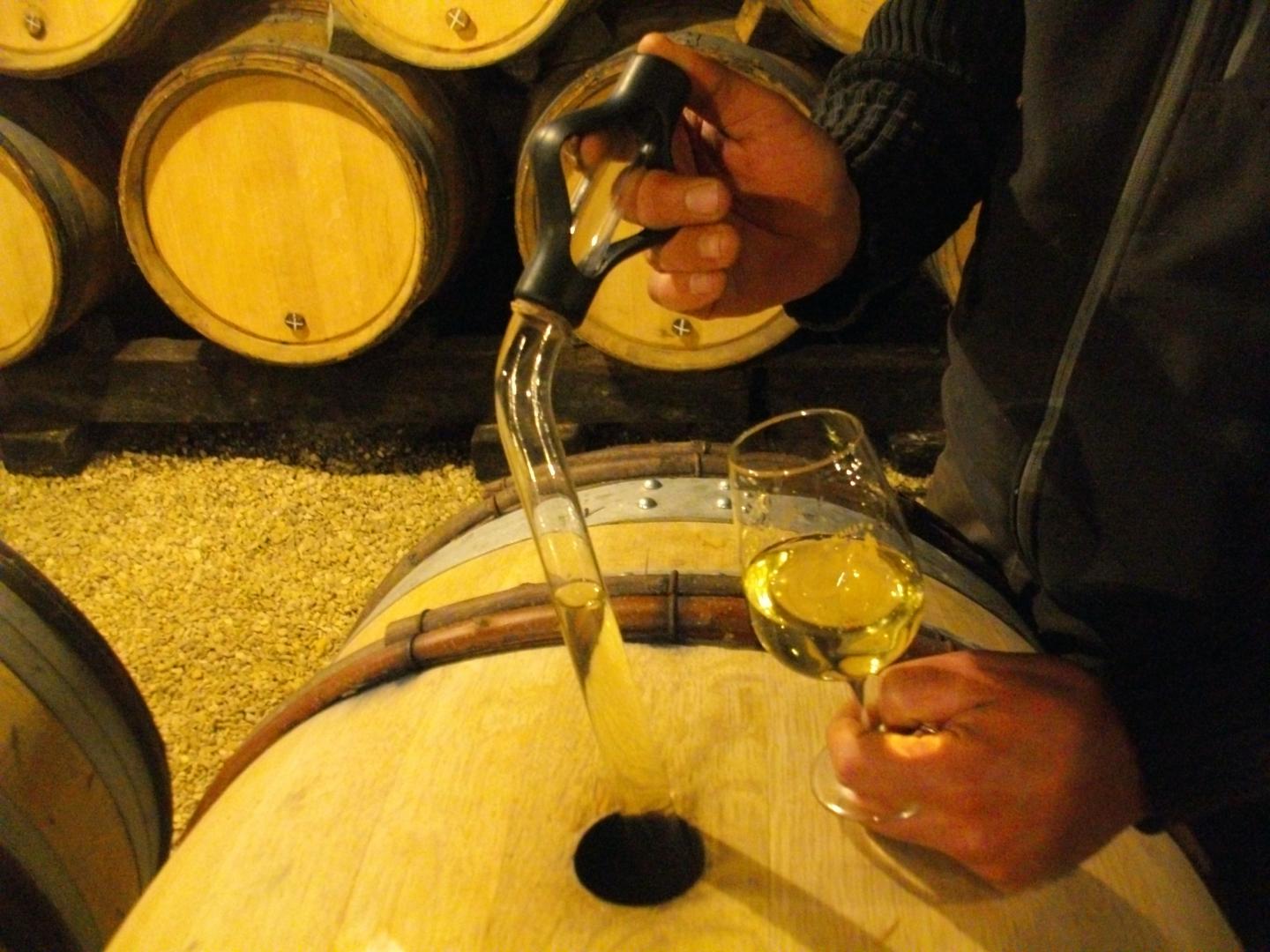 DOMAINE JOBARD-MOREY, Meursault, Premier Cru "Poruzots", 2021 - (WOTM)