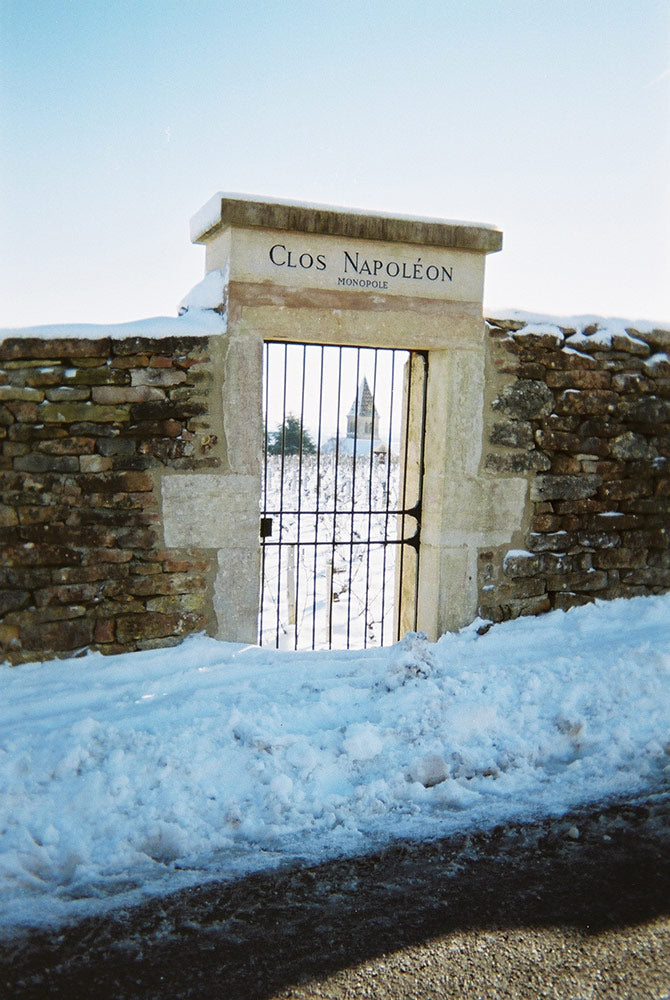 DOMAINE PIERRE GELIN, Fixin, Premier Cru Clos Napoleon-Monopole, 2020 - (WOTM)