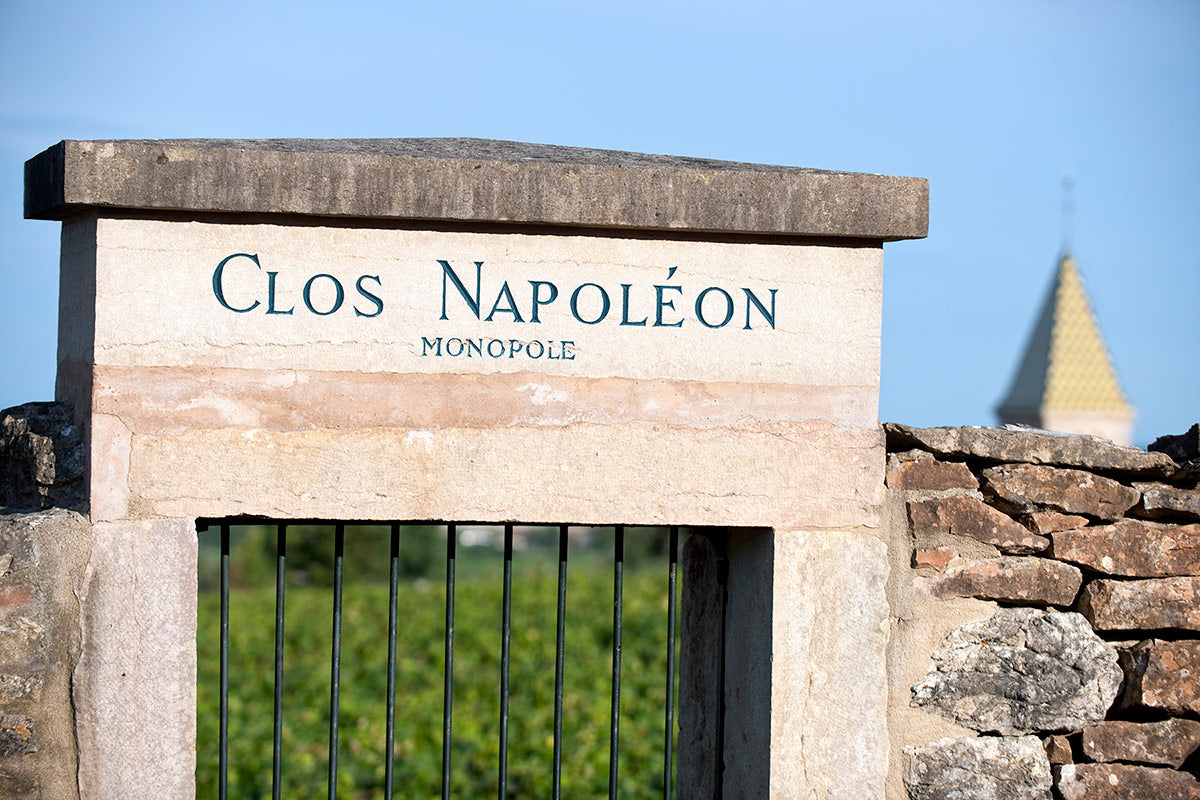 DOMAINE PIERRE GELIN, Fixin, Premier Cru Clos Napoleon-Monopole, 2020 - (WOTM)