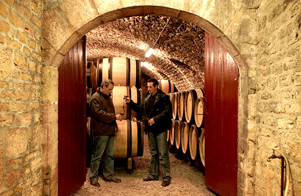 DOMAINE PIERRE GELIN, Fixin, Premier Cru Clos Napoleon-Monopole, 2020 - (WOTM)