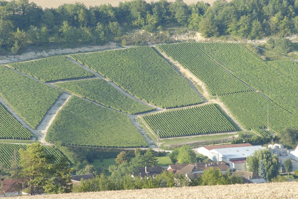 DRAPPIER, Brut Nature, Champagne, NV - (Set of 6 bottles) - (WOTM)