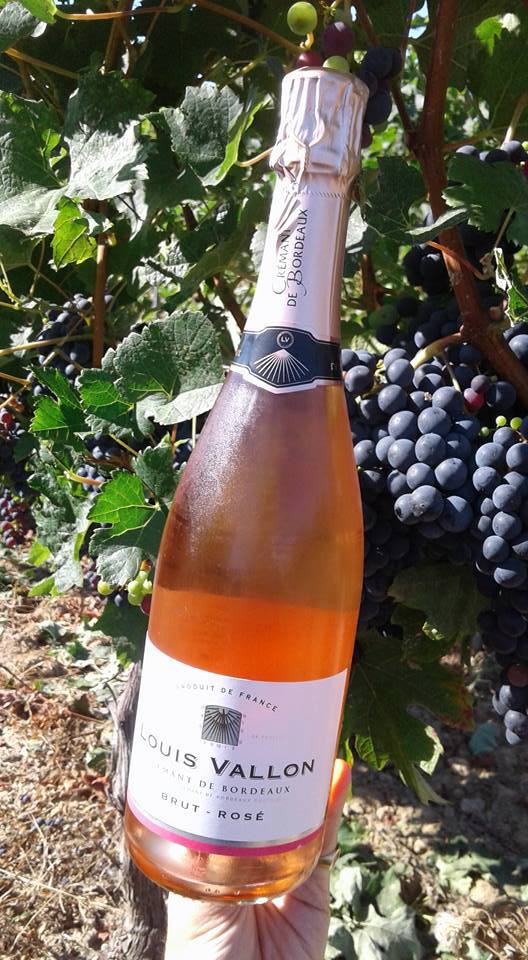 LOUIS VALLON, Cremant de Bordeaux, Rose, Brut, NV - (EQW)