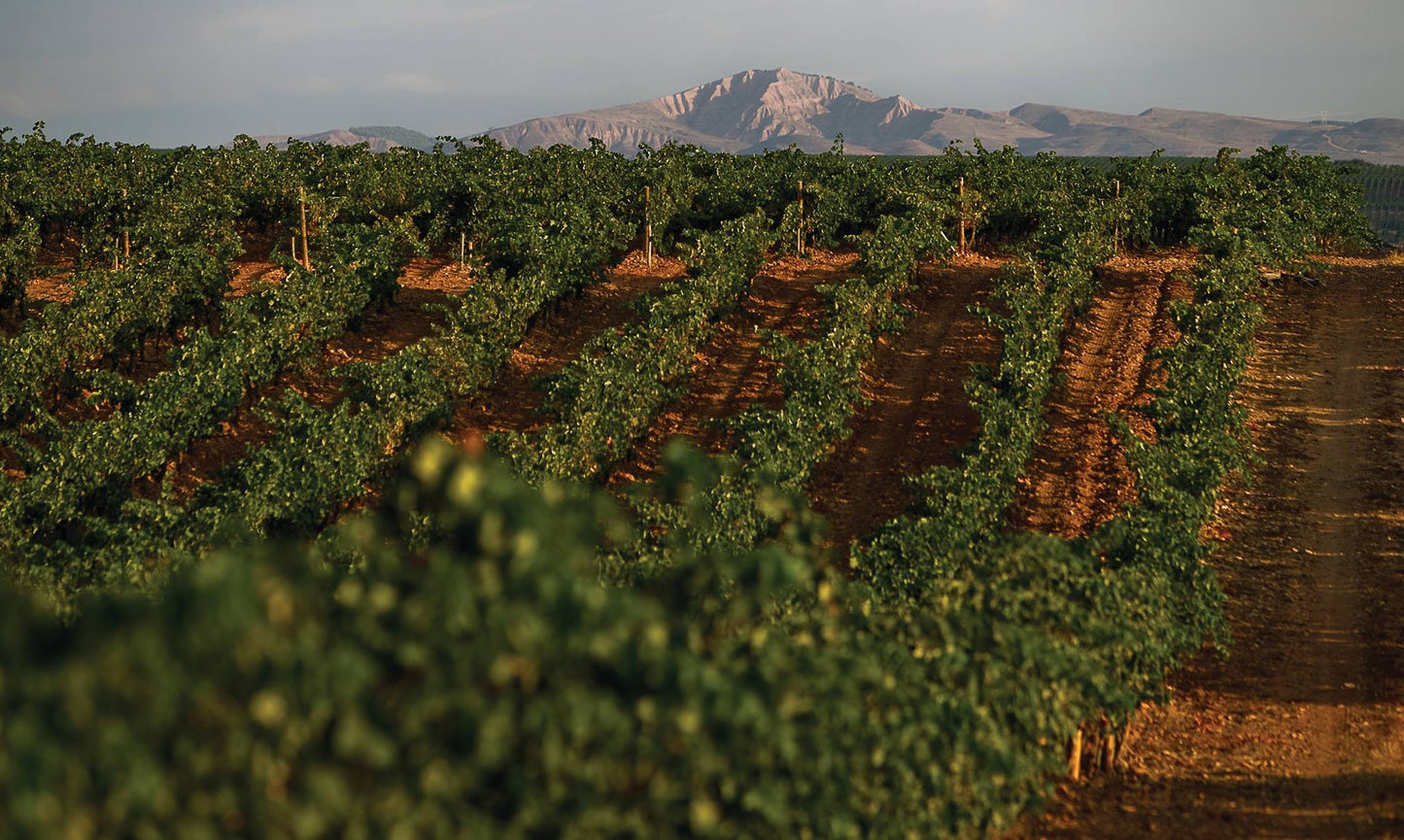 BODEGAS ONTANON, Antologia, Rioja Crianza, 2018 - (EQW)