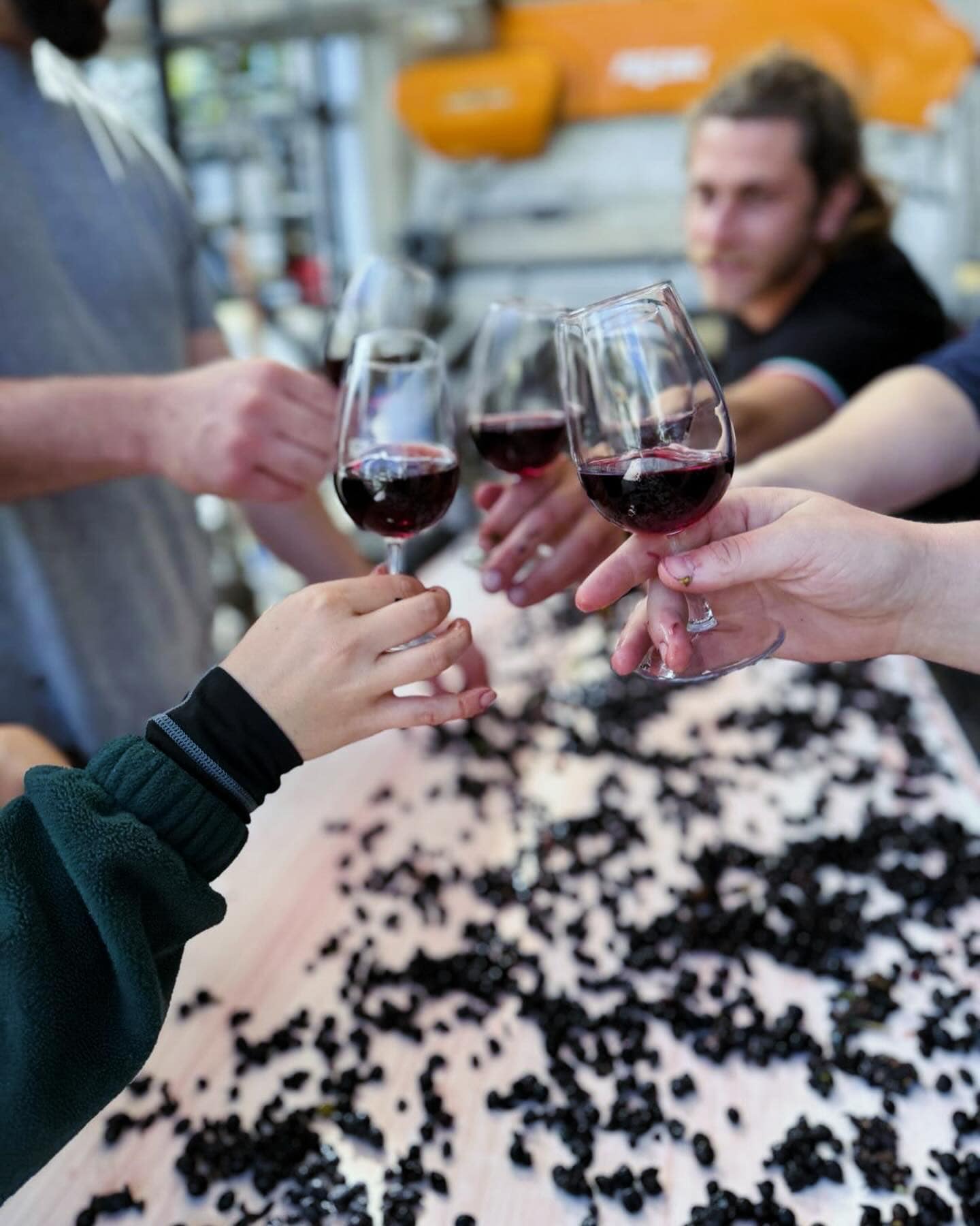 PEGASUS BAY, Pinot Noir, New Zealand, 2020 - (WOTM)