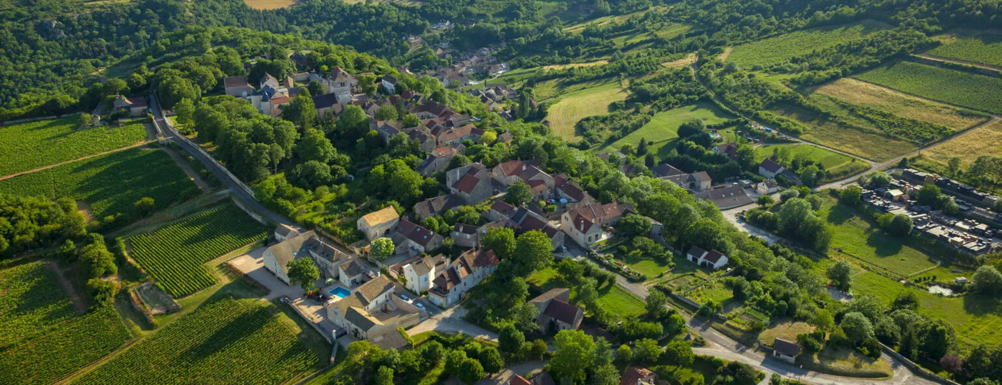 OLIVIER LEFLAIVE, Sous Le Chateau, Saint-Romain, 2020 - (WOTM)