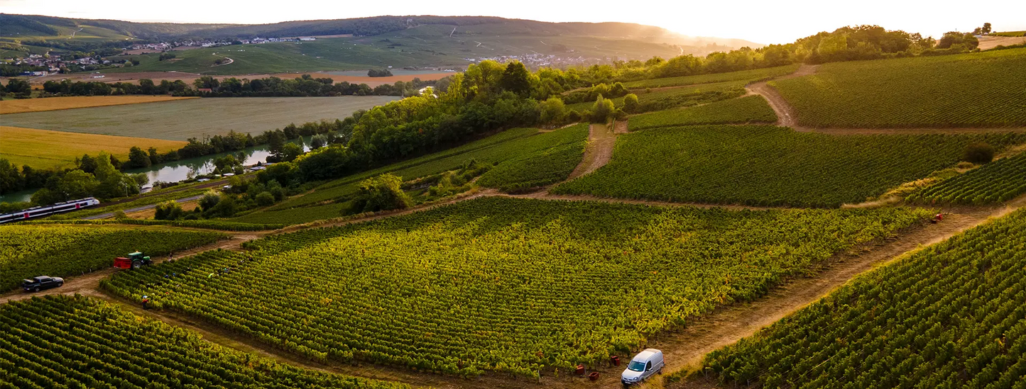 DEHOURS FILS, Champagne Brut Millesime, 2017