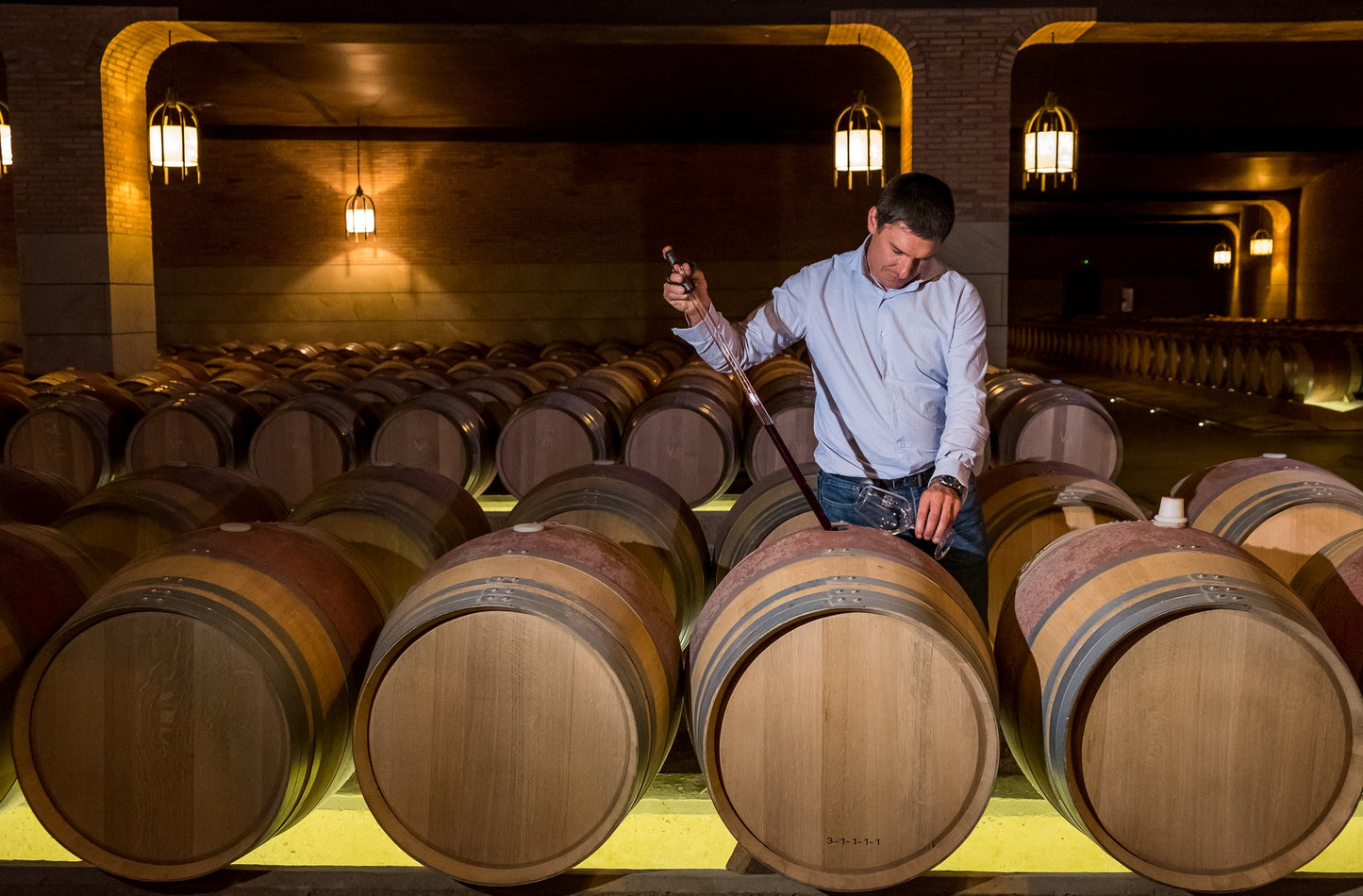 SALOMON, Bodegas Rippa Dorii, Ribera del Duero, 2020 - (EQW)