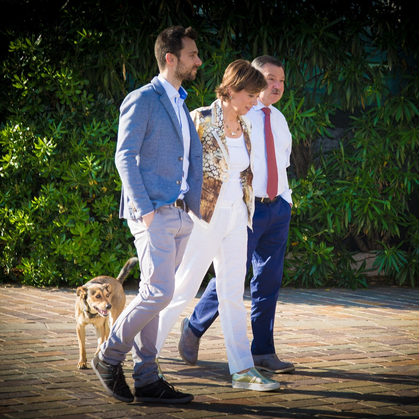 BRUNELLI, Amarone della Valpolicella Classico, 2019 - (WOTM)