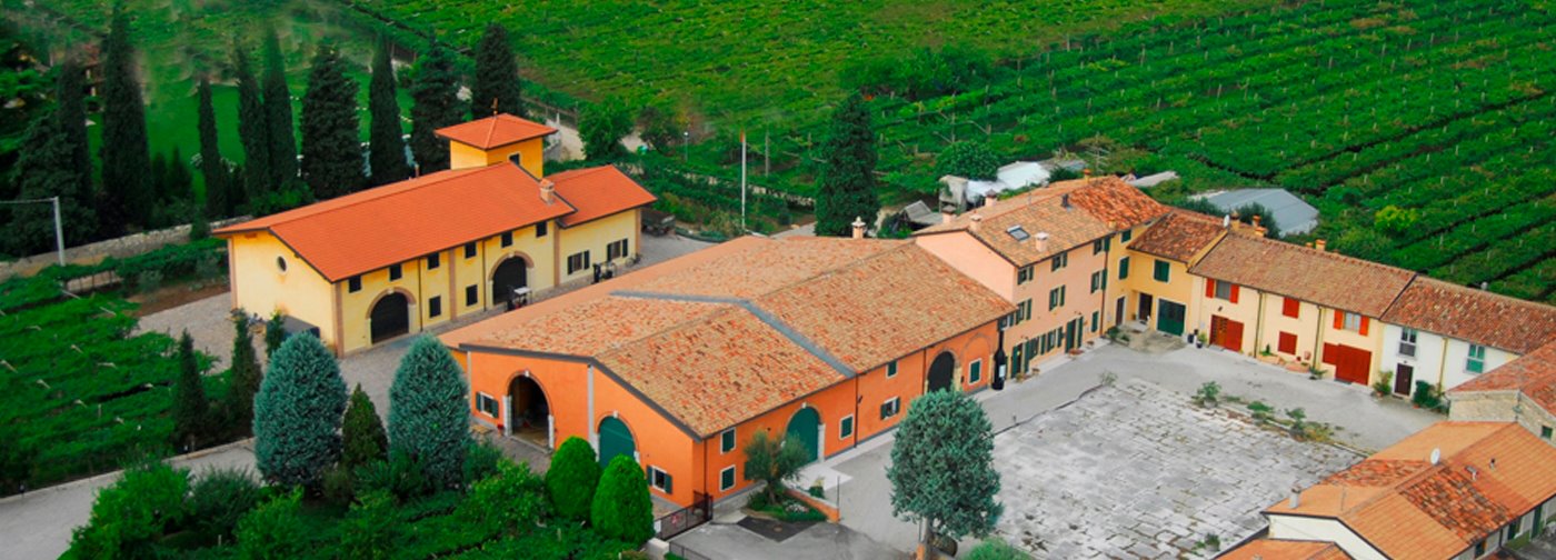 BRUNELLI, Amarone della Valpolicella Classico, 2019 - (WOTM)