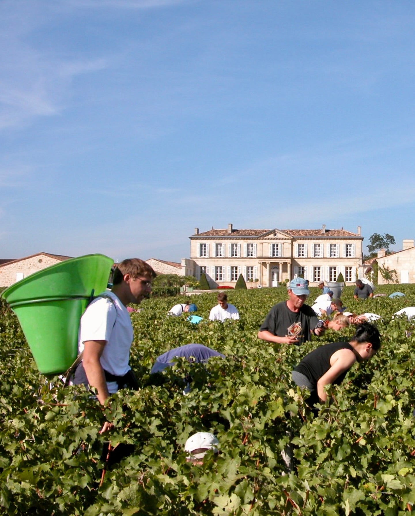 DULUC DE BRANAIRE-DUCRU, Saint-Julien, Bordeaux, 2018 - (EQW)