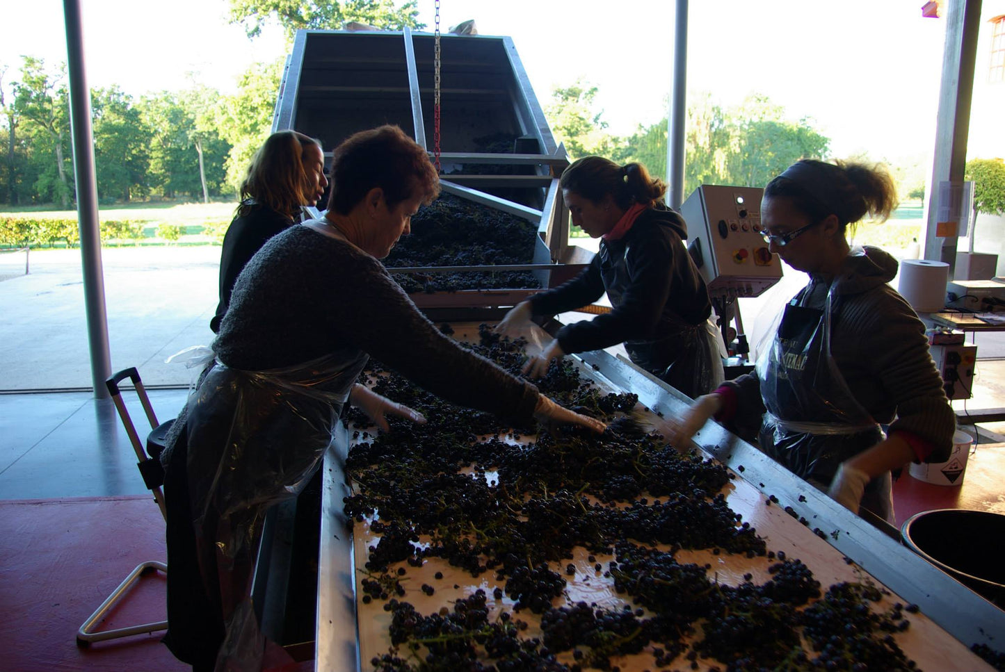 CHATEAU BRANE CANTENAC, Margaux, 2008 - (WOTM)