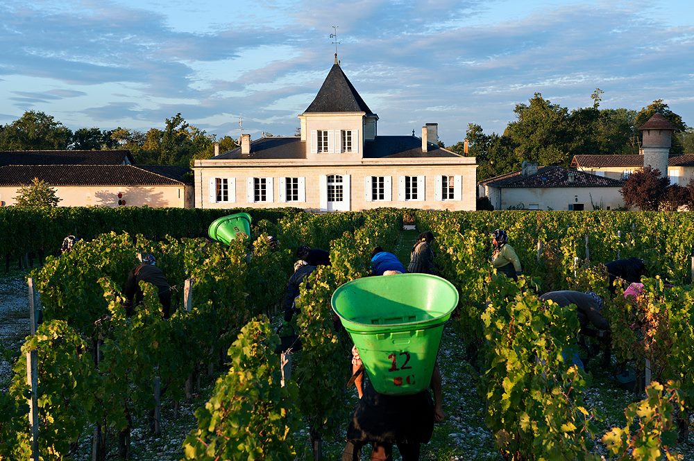 CHATEAU BRANE CANTENAC, Margaux, 2008 - (WOTM)