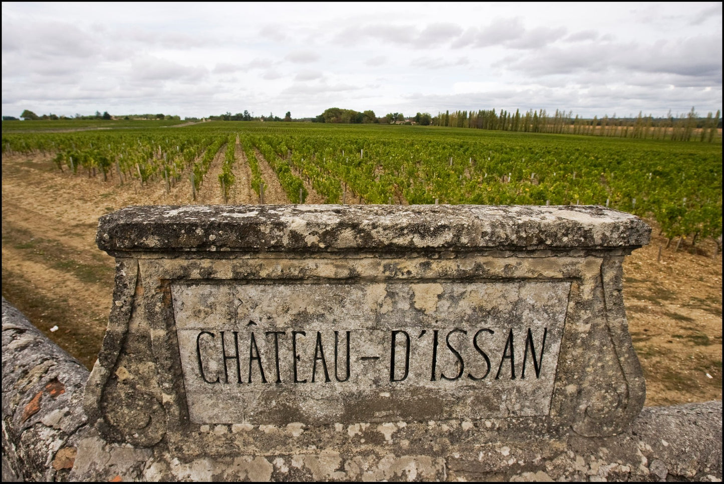 BLASSON D'ISSAN, Margaux, Bordeaux, 2019 - (EQW)