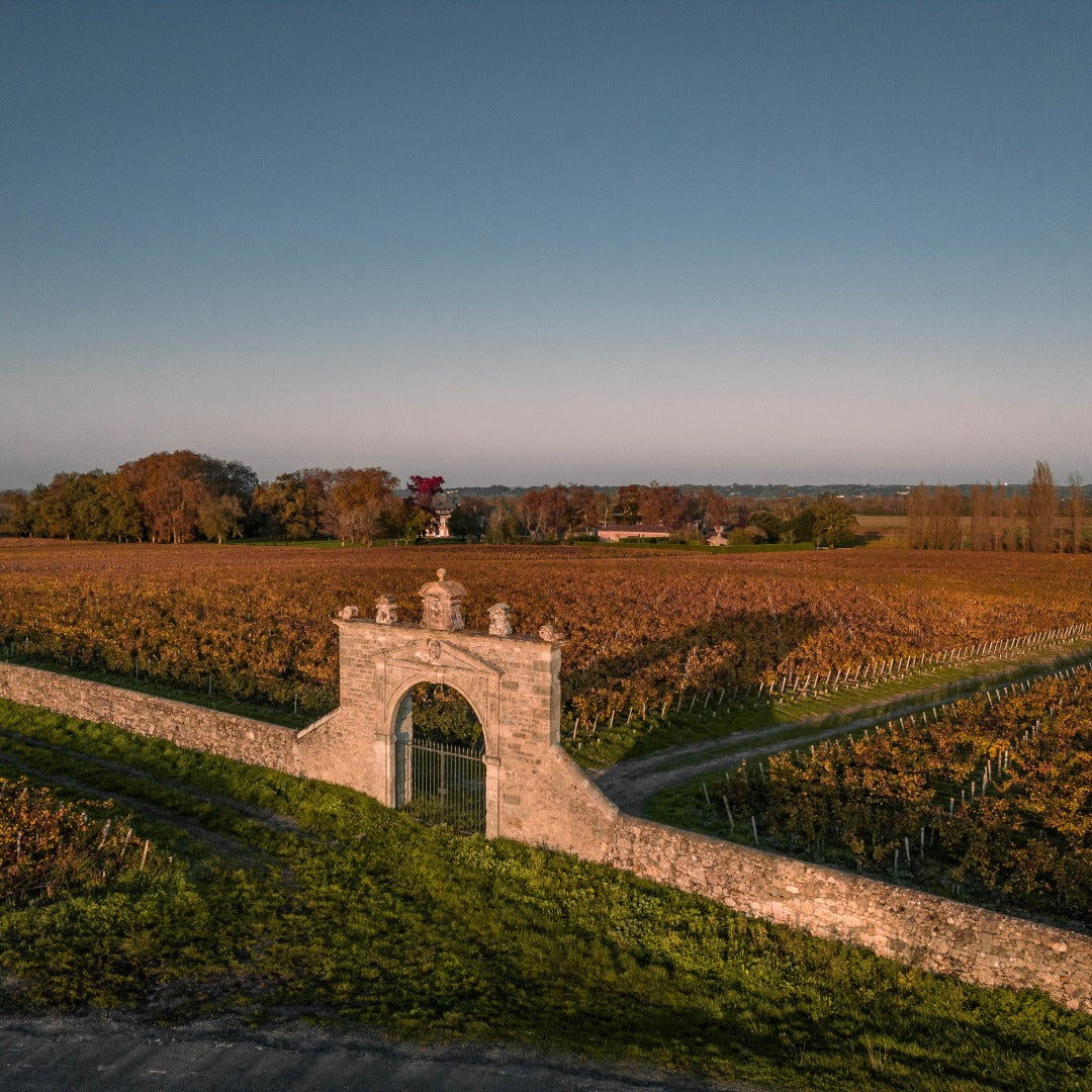 BLASSON D'ISSAN, Margaux, Bordeaux, 2019 - (EQW)
