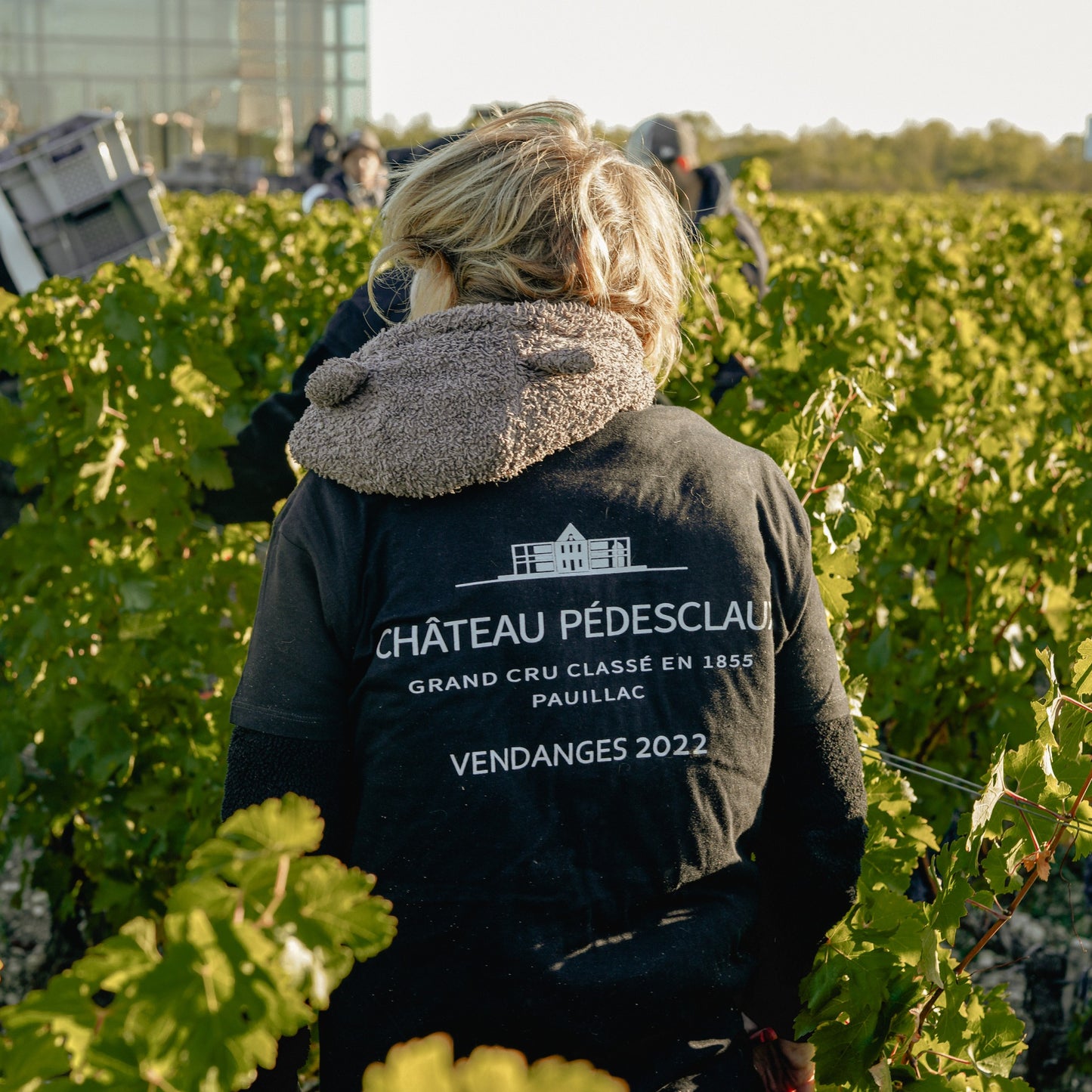 FLEUR DE PEDESCLAUX, Pauillac, Bordeaux, 2019 - (EQW)