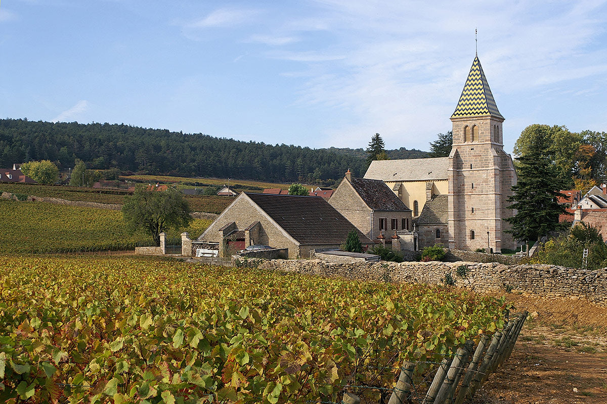 DOMAINE PIERRE GELIN, Fixin, Premier Cru Clos Napoleon-Monopole, 2020 - (WOTM)