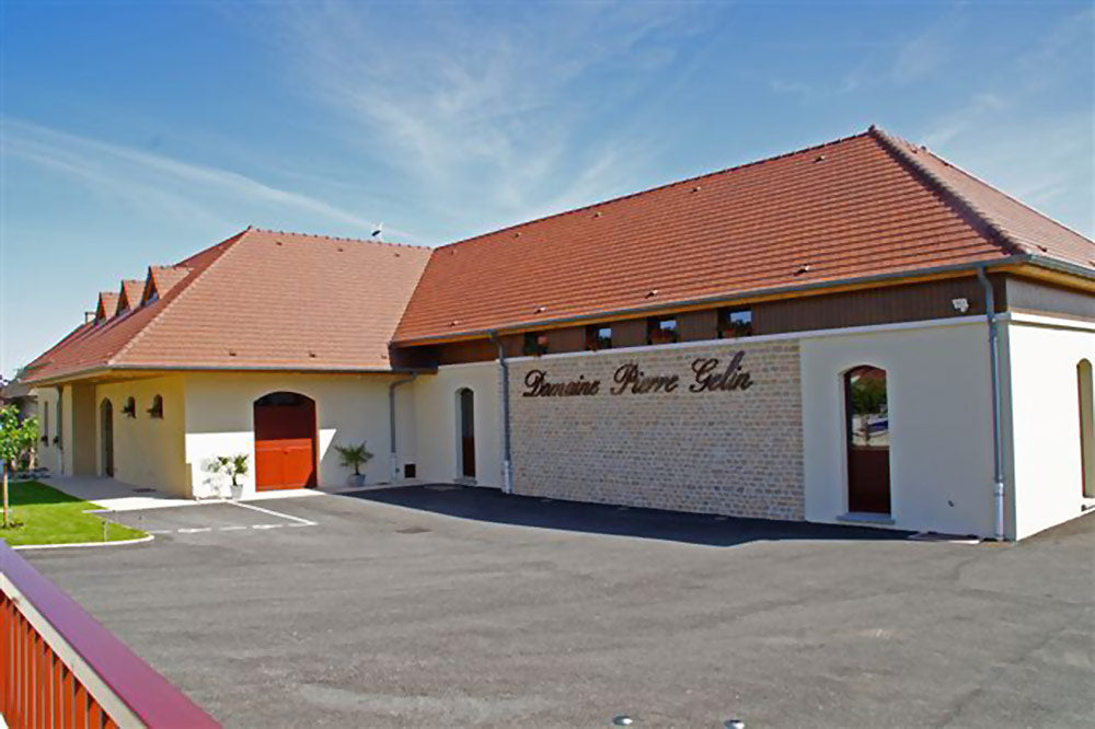 DOMAINE PIERRE GELIN, Fixin, Premier Cru Clos Napoleon-Monopole, 2020 - (WOTM)