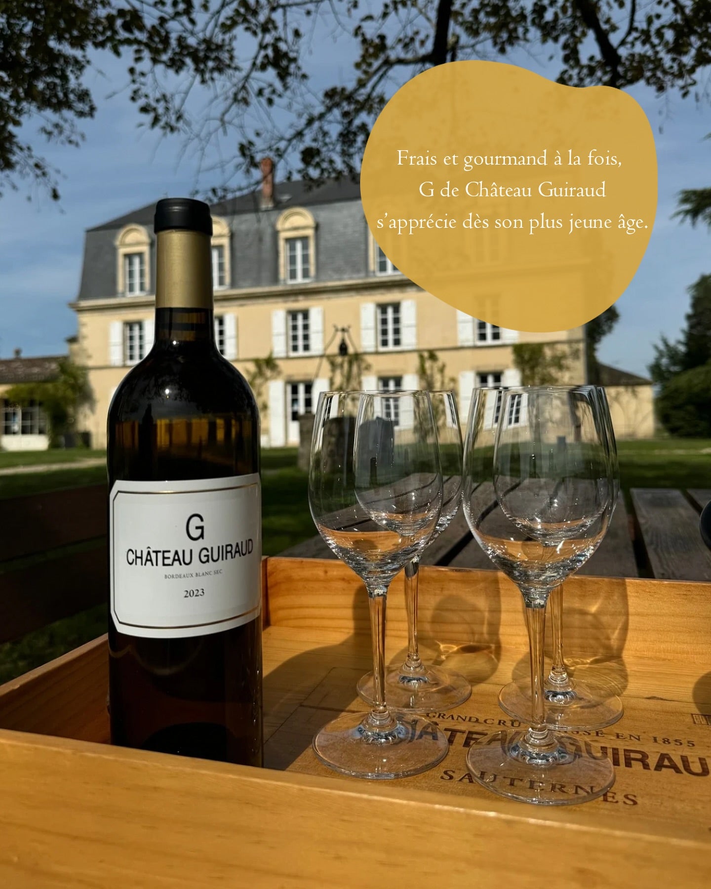 G CHATEAU GUIRAUD, Bordeaux Blanc, 2012 - (EQW)