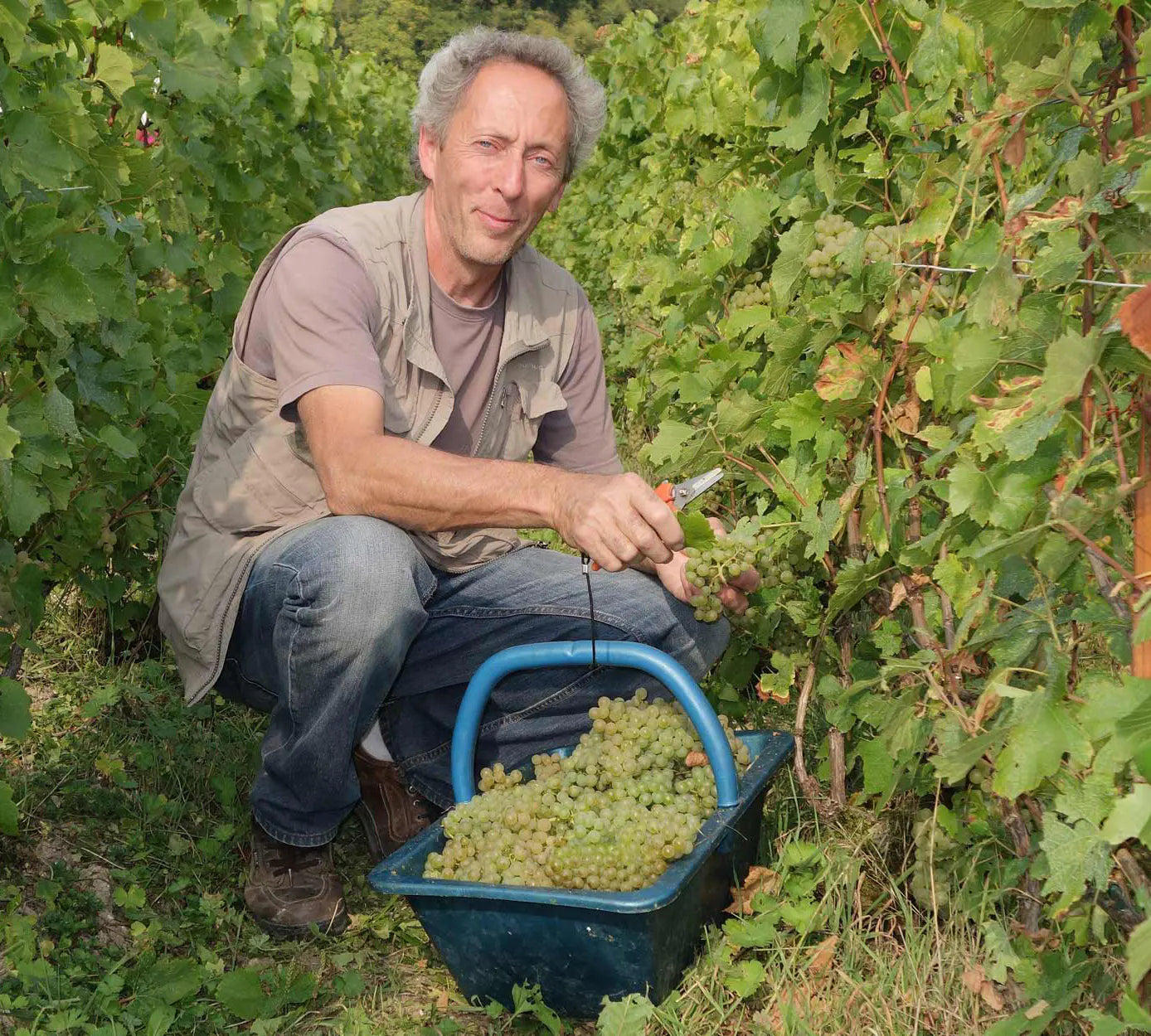 PASCAL DOQUET, Grand Cru, Diapason, Blanc de Blancs, Extra Brut, Champagne, NV - (WOTM)