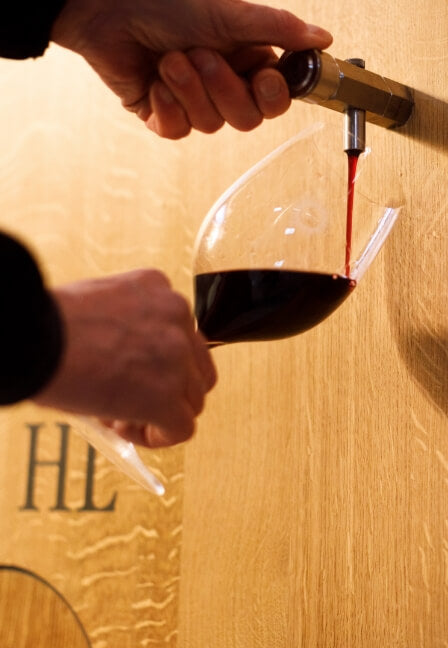 TENUTA LUCE, Brunello di Montalcino, 2018 - (WOTM)