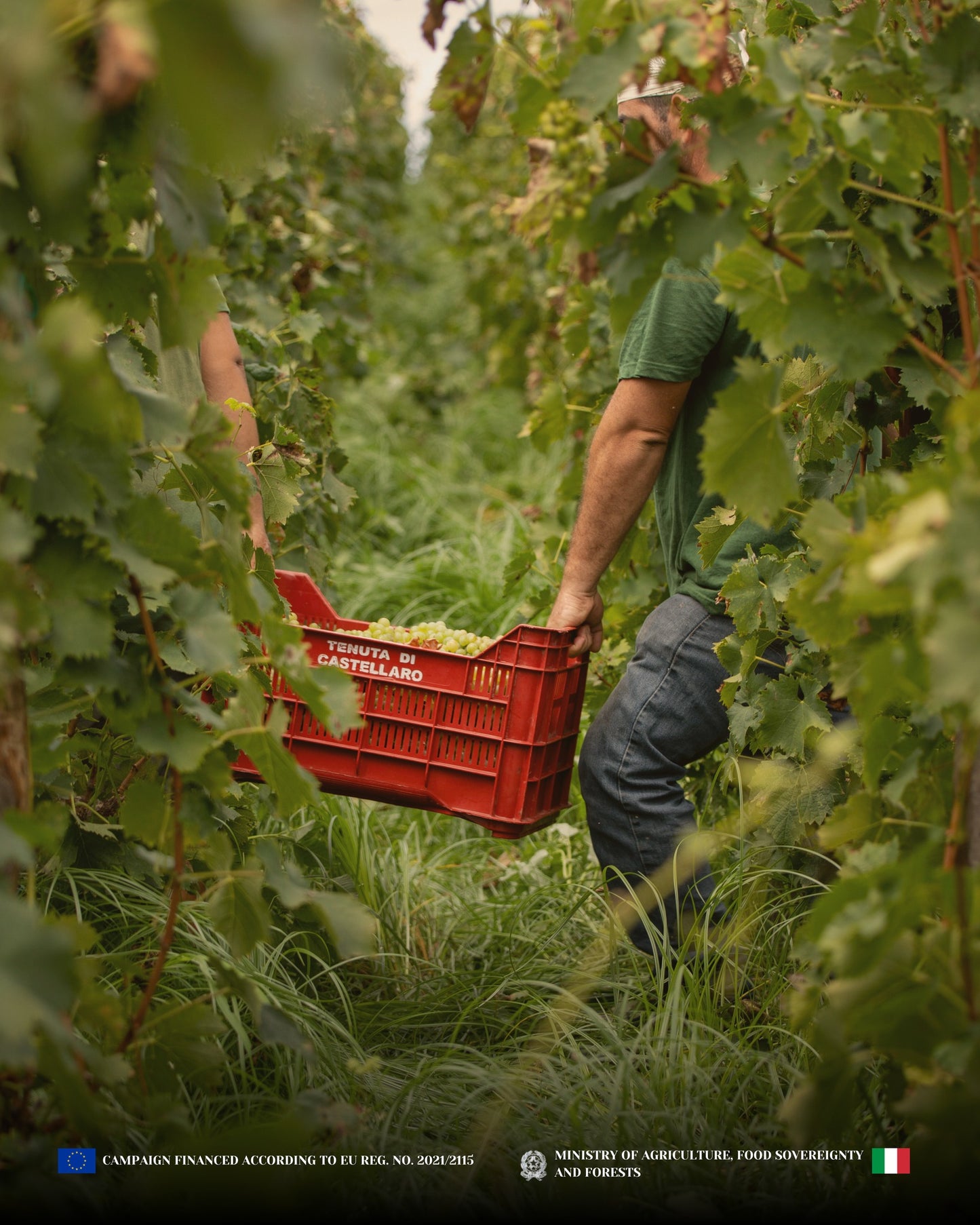 TENUTA DI CASTELLARO, Bianco Porticello, Sicily, 2021 - (EQW)